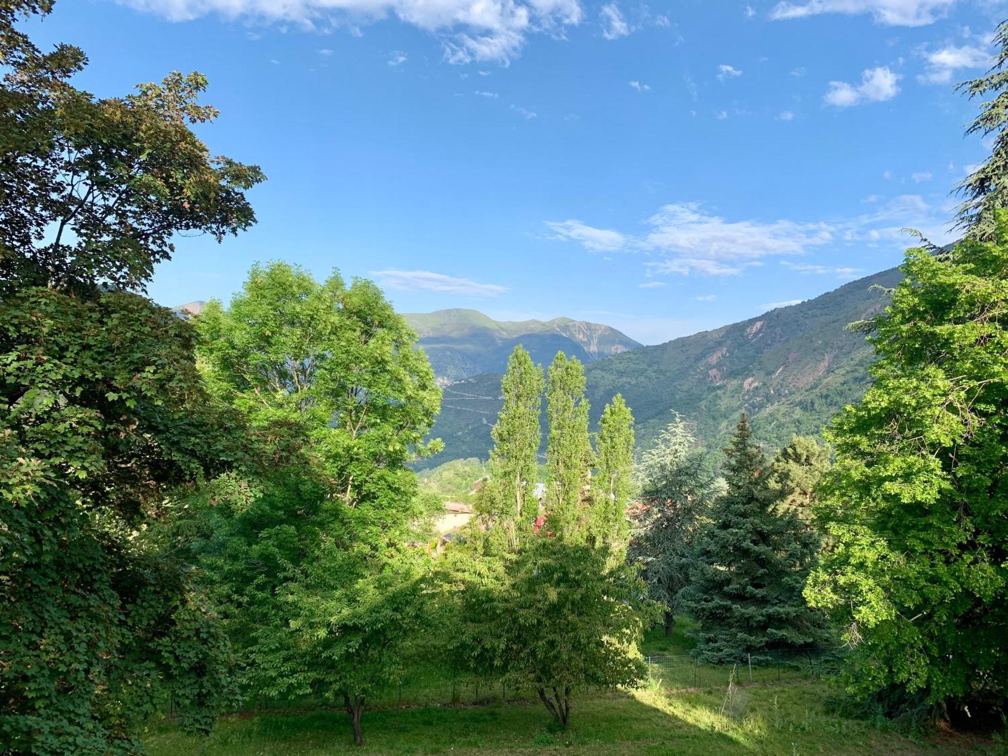 Chalet Le Tilleul Valdeblore Kültér fotó
