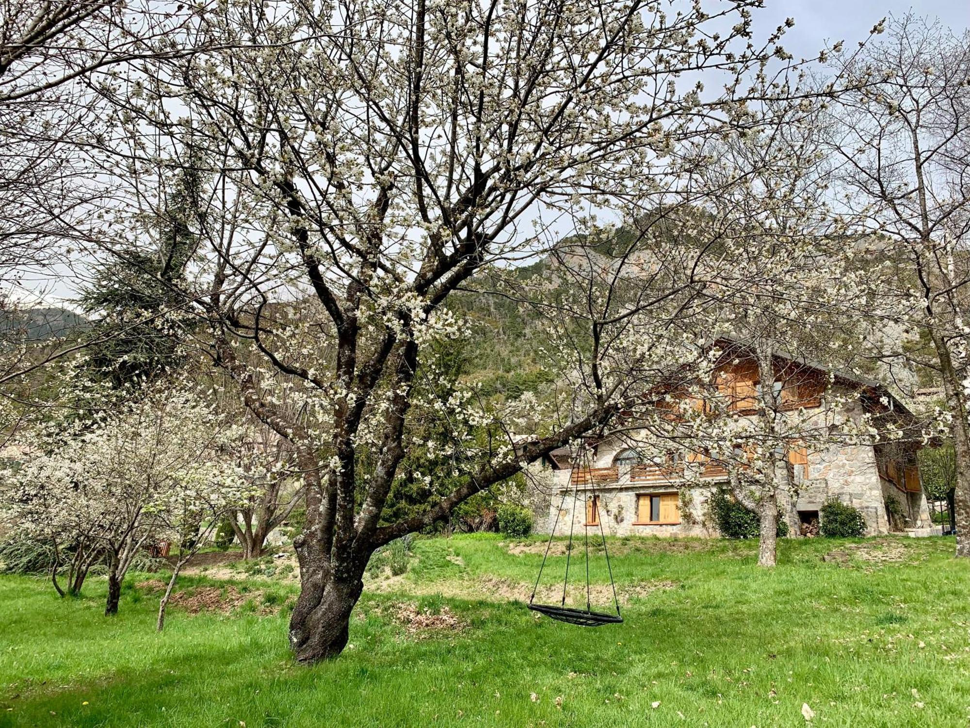 Chalet Le Tilleul Valdeblore Kültér fotó