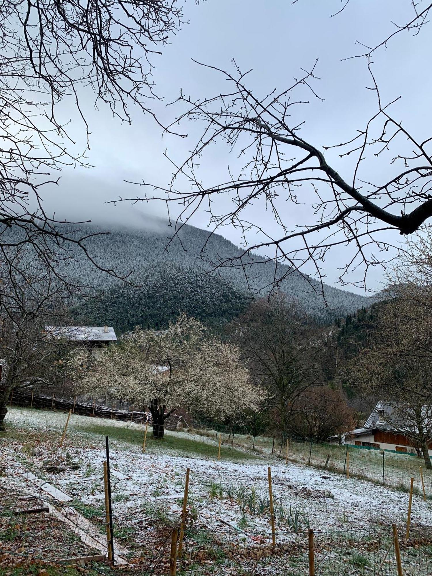 Chalet Le Tilleul Valdeblore Kültér fotó