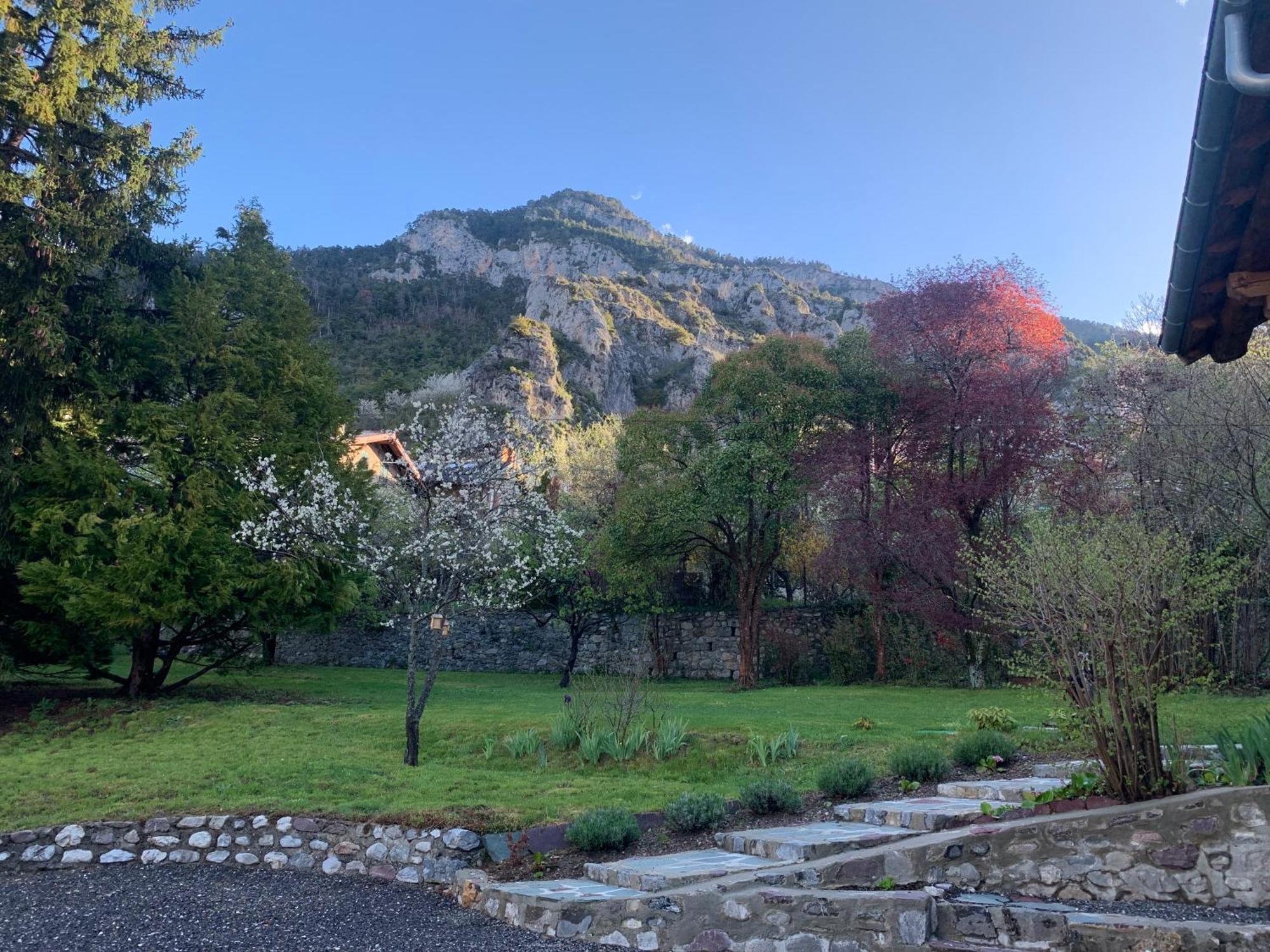 Chalet Le Tilleul Valdeblore Kültér fotó