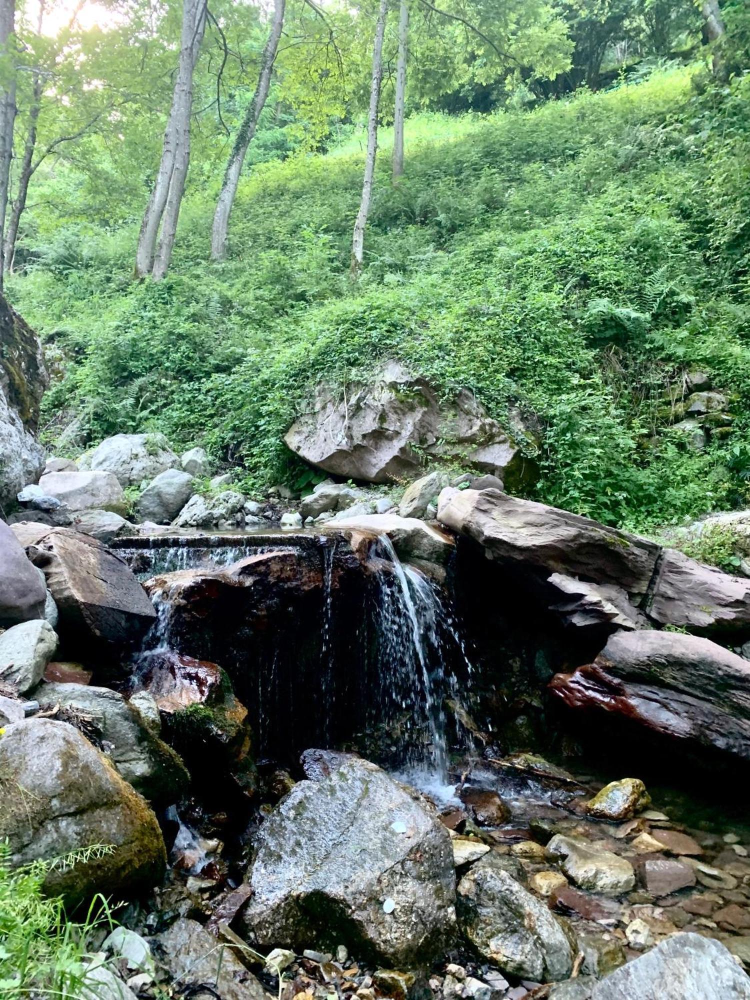 Chalet Le Tilleul Valdeblore Kültér fotó