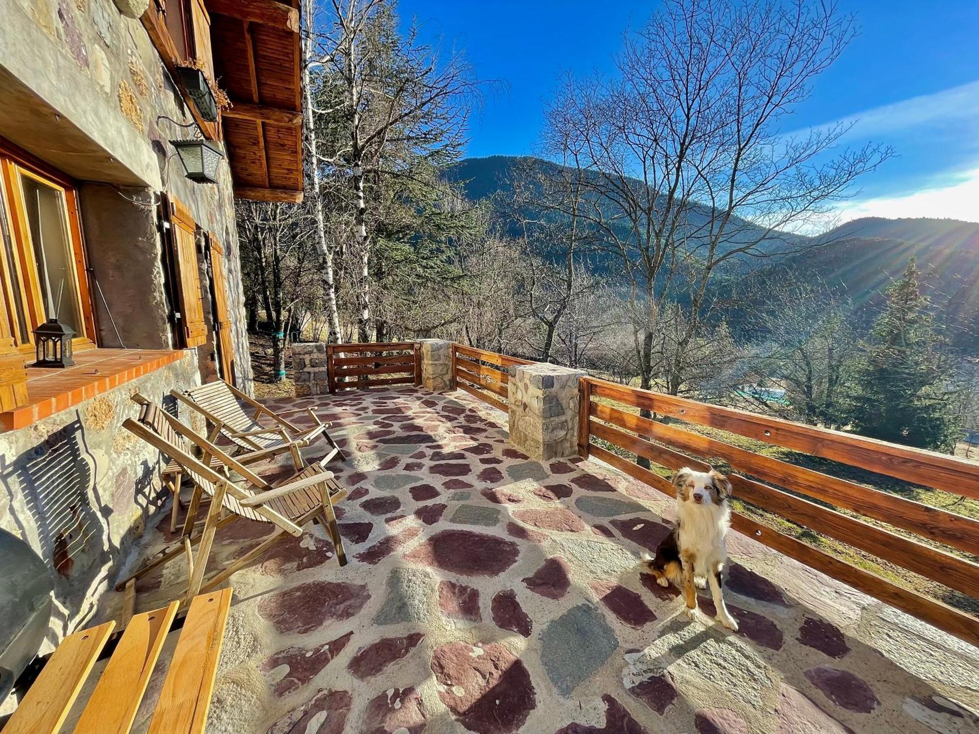 Chalet Le Tilleul Valdeblore Kültér fotó